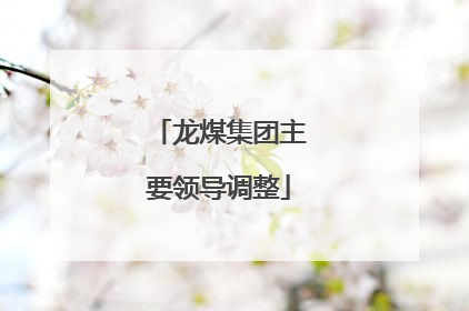 龙煤集团主要领导调整
