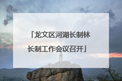 龙文区河湖长制林长制工作会议召开