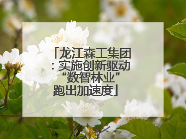 龙江森工集团：实施创新驱动 “数智林业”跑出加速度