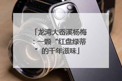 龙湾大岙溪杨梅：一颗“红盘绿蒂”的千年滋味