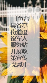鱼台县谷亭街道退役军人服务站开展政策宣传活动