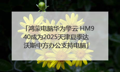鸿蒙电脑华为擎云 HM940成为2025天津夏季达沃斯中方办公支持电脑