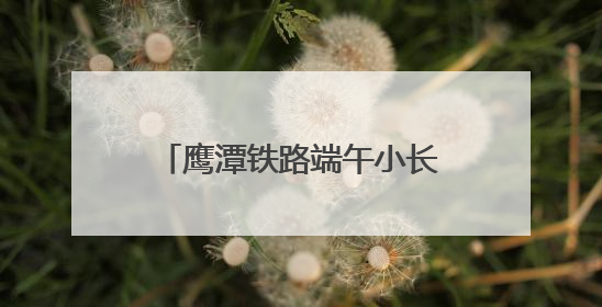 鹰潭铁路端午小长假运输圆满收官