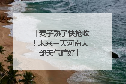 麦子熟了快抢收！未来三天河南大部天气晴好