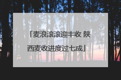 麦浪滚滚迎丰收 陕西麦收进度过七成