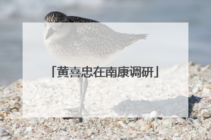 黄喜忠在南康调研