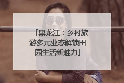 黑龙江：乡村旅游多元业态解锁田园生活新魅力