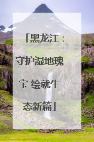 黑龙江：守护湿地瑰宝 绘就生态新篇