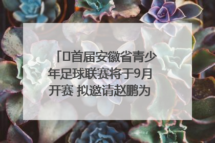 ﻿首届安徽省青少年足球联赛将于9月开赛 拟邀请赵鹏为先导赛开球