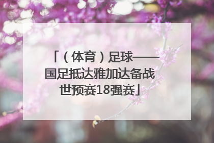 （体育）足球——国足抵达雅加达备战世预赛18强赛