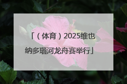 （体育）2025维也纳多瑙河龙舟赛举行