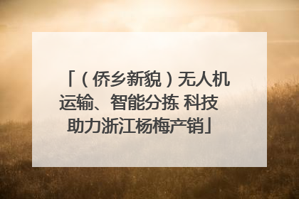 （侨乡新貌）无人机运输、智能分拣 科技助力浙江杨梅产销