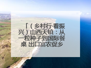 （乡村行·看振兴）山西天镇：从一粒种子到国际餐桌 出口富农促乡村振兴