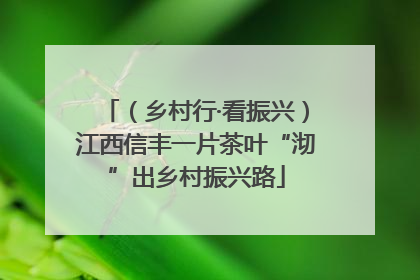 （乡村行·看振兴）江西信丰一片茶叶“沏”出乡村振兴路