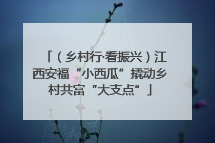 （乡村行·看振兴）江西安福“小西瓜”撬动乡村共富“大支点”
