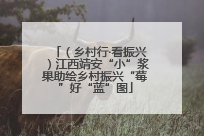 （乡村行·看振兴）江西靖安“小”浆果助绘乡村振兴“莓”好“蓝”图
