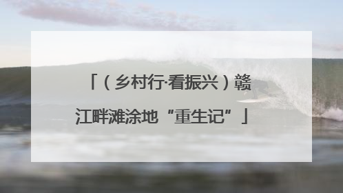 （乡村行·看振兴）赣江畔滩涂地“重生记”