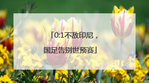 0:1不敌印尼，国足告别世预赛