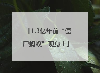 1.3亿年前“僵尸蚂蚁”现身！