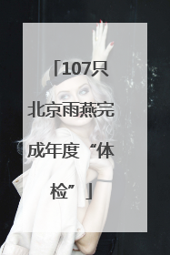 107只北京雨燕完成年度“体检”
