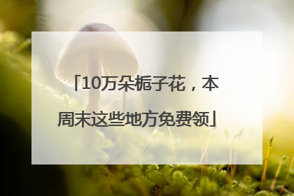 10万朵栀子花，本周末这些地方免费领
