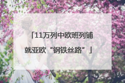 11万列中欧班列铺就亚欧“钢铁丝路”