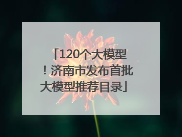 120个大模型！济南市发布首批大模型推荐目录