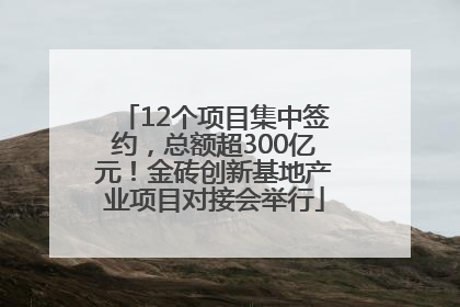 12个项目集中签约，总额超300亿元！金砖创新基地产业项目对接会举行