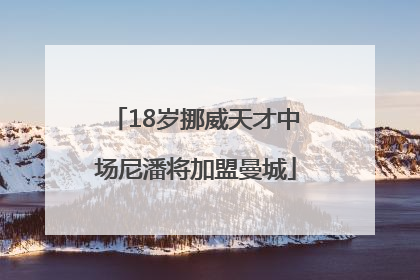 18岁挪威天才中场尼潘将加盟曼城