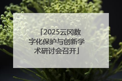 2025云冈数字化保护与创新学术研讨会召开