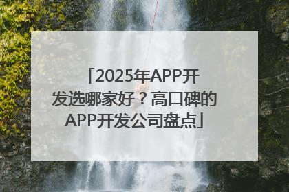 2025年APP开发选哪家好？高口碑的APP开发公司盘点