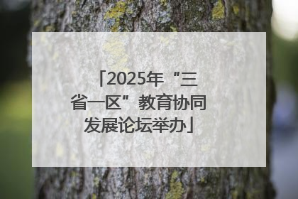 2025年“三省一区”教育协同发展论坛举办