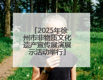 2025年徐州市非物质文化遗产宣传展演展示活动举行
