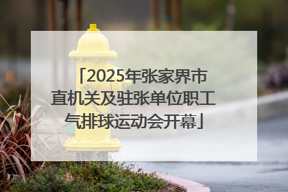 2025年张家界市直机关及驻张单位职工气排球运动会开幕