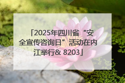2025年四川省“安全宣传咨询日”活动在内江举行& 8203