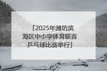 2025年潍坊滨海区中小学体育联赛乒乓球比赛举行