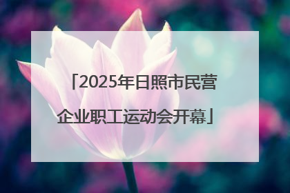 2025年日照市民营企业职工运动会开幕