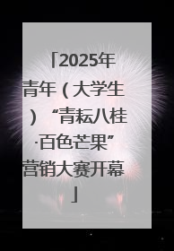 2025年青年（大学生）“青耘八桂·百色芒果”营销大赛开幕