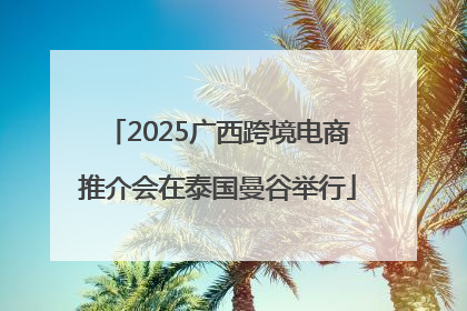 2025广西跨境电商推介会在泰国曼谷举行
