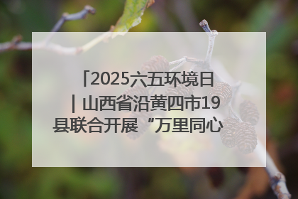 2025六五环境日｜山西省沿黄四市19县联合开展“万里同心，共护黄河”环保志愿者助力一泓清水入黄河公益活动