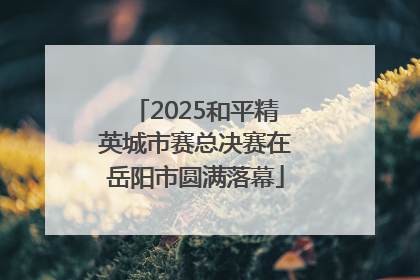 2025和平精英城市赛总决赛在岳阳市圆满落幕