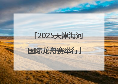 2025天津海河国际龙舟赛举行