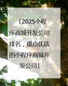 2025小程序商城开发公司排名，盘点优质的小程序商城开发公司