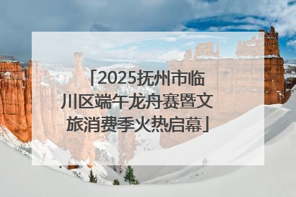 2025抚州市临川区端午龙舟赛暨文旅消费季火热启幕
