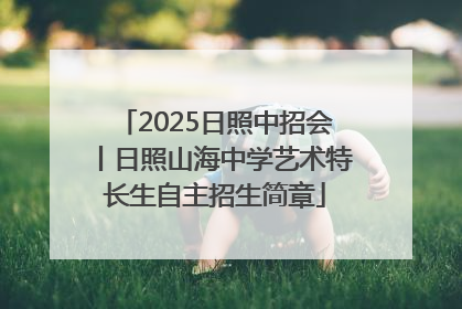 2025日照中招会丨日照山海中学艺术特长生自主招生简章