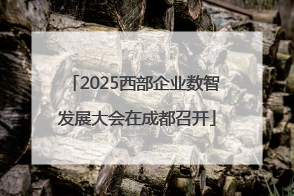 2025西部企业数智发展大会在成都召开
