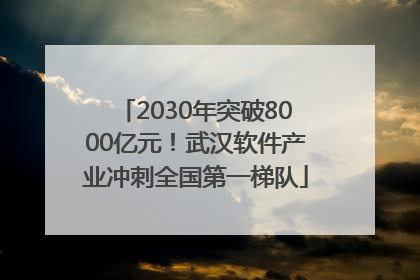 2030年突破8000亿元！武汉软件产业冲刺全国第一梯队