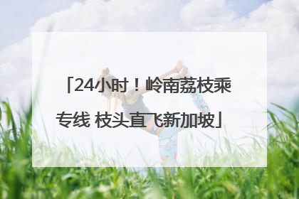 24小时！岭南荔枝乘专线 枝头直飞新加坡
