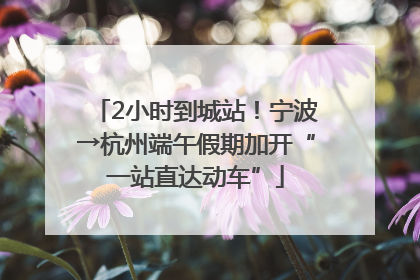 2小时到城站！宁波→杭州端午假期加开“一站直达动车”