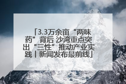 3.3万余亩“两味药”背后 沙湾重点突出“三性”推动产业实践丨新闻发布最前线